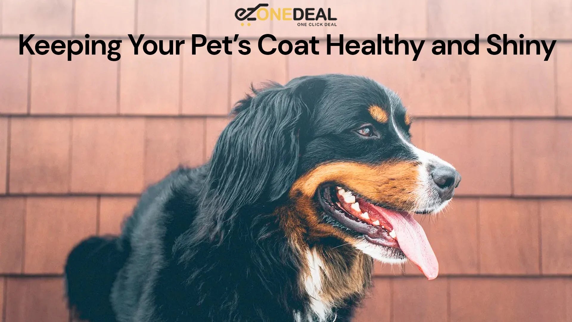 Keeping Your Pet’s Coat Healthy and Shiny