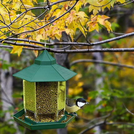 Bird Feeder