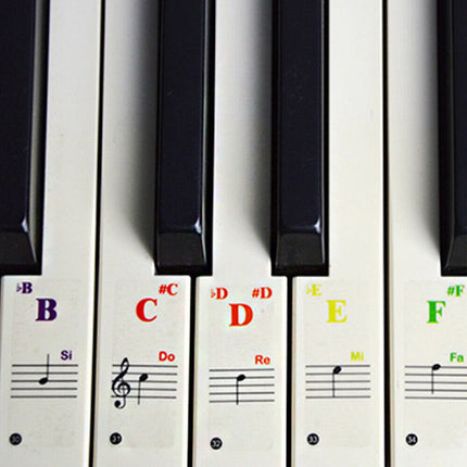 4 in 1 Universal Piano Learner Music Keyboard Sticker 37/49/61/88 Key Note