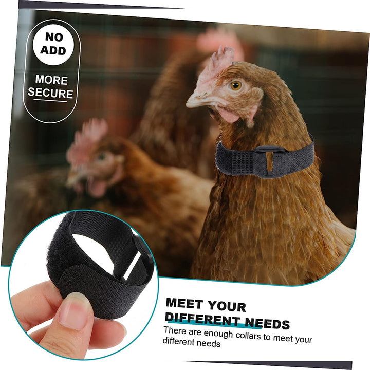 Anti Crow Collar for Roosters 10Pcs No Crow Belt ezonedeal