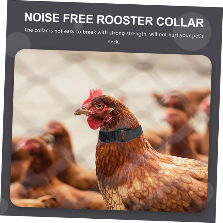 Anti Crow Collar for Roosters 10Pcs No Crow Belt ezonedeal