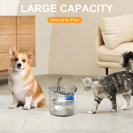 Electric Pet Water Fountain