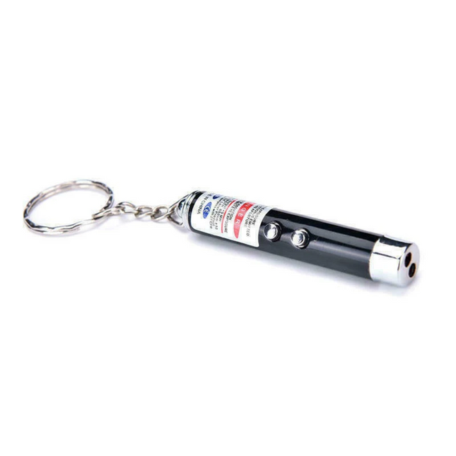Pet Laser Light Pointer Torch Pen- 2Pcs