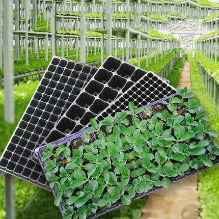 10 pcs Seed Grow Box