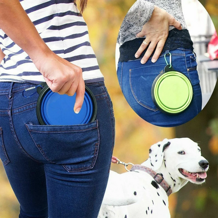 Collapsible Pet Bowl