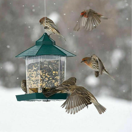 Bird Feeder