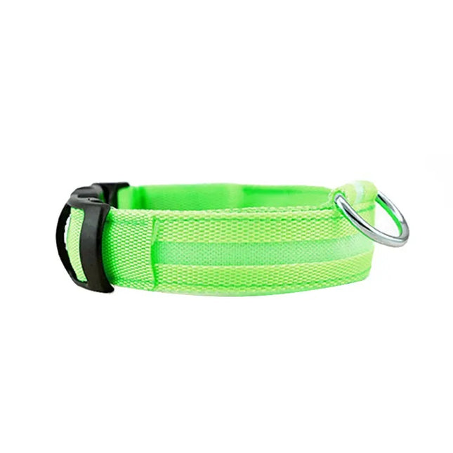 LED Glowing Dog Collar