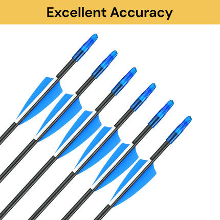 10Pcs Archery Arrows