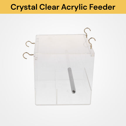 Acrylic Automatic Bird Feeder