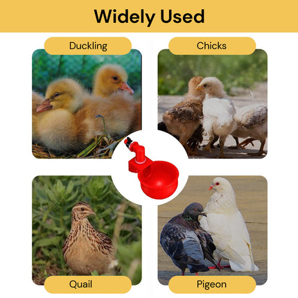 6PCs Automatic Chicken Water Cup