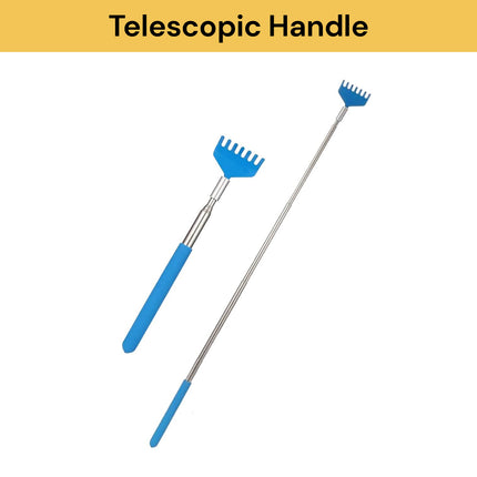 Assorted Back Scratcher