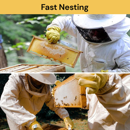 30pcs Beeswax Foundation Sheets