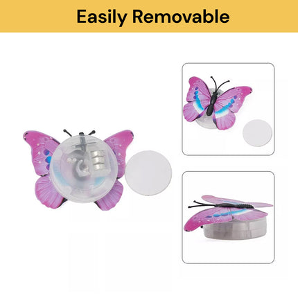 LED Butterfly Light (Assorted)