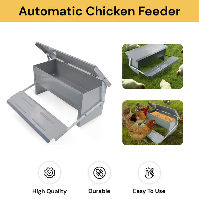 Automatic Chicken Feeder
