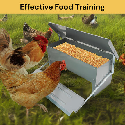 Automatic Chicken Feeder