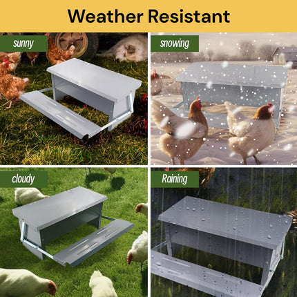 Automatic Chicken Feeder