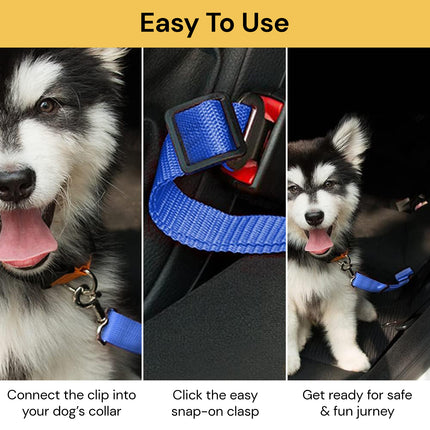 Dog Car Seat  Belt