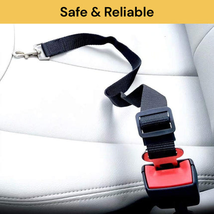 Dog Car Seat  Belt