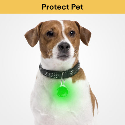 Clip On Dog Collar LED Light