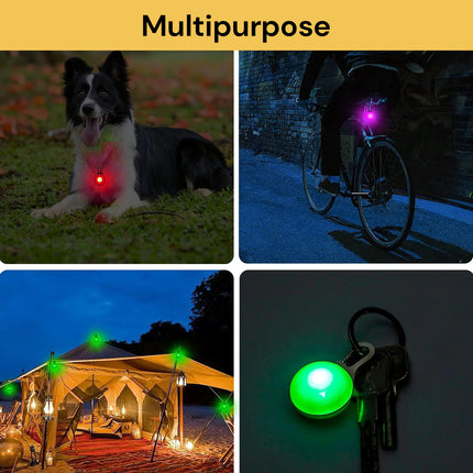 Clip On Dog Collar LED Light