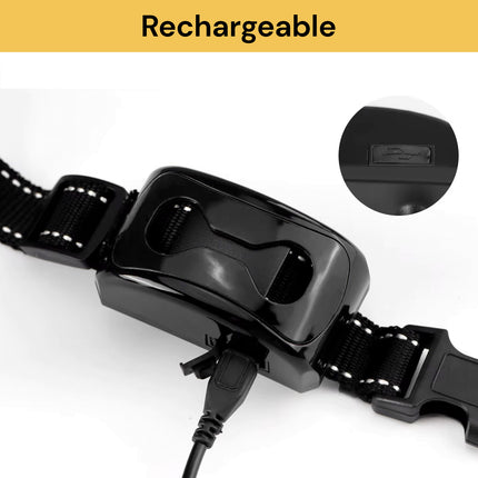 BUY Anti Bark Dog Training Collar GET Bluetooth GPS Tracker FREE