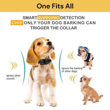 BUY Anti Bark Dog Training Collar GET Bluetooth GPS Tracker FREE