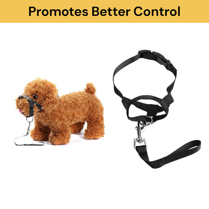 Adjustable Dog Head Halter