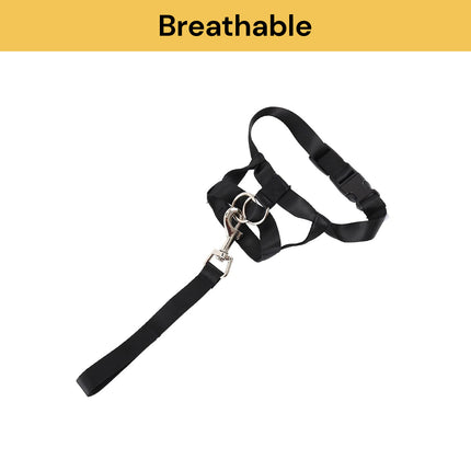 Adjustable Dog Head Halter