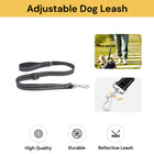 Adjustable Dog Leash