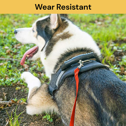 Nylon Training Dog Leash