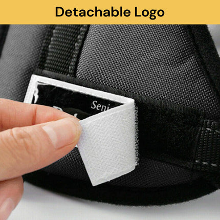 Buy Dog Harness Vest Get Bluetooth GPS Tracker Free