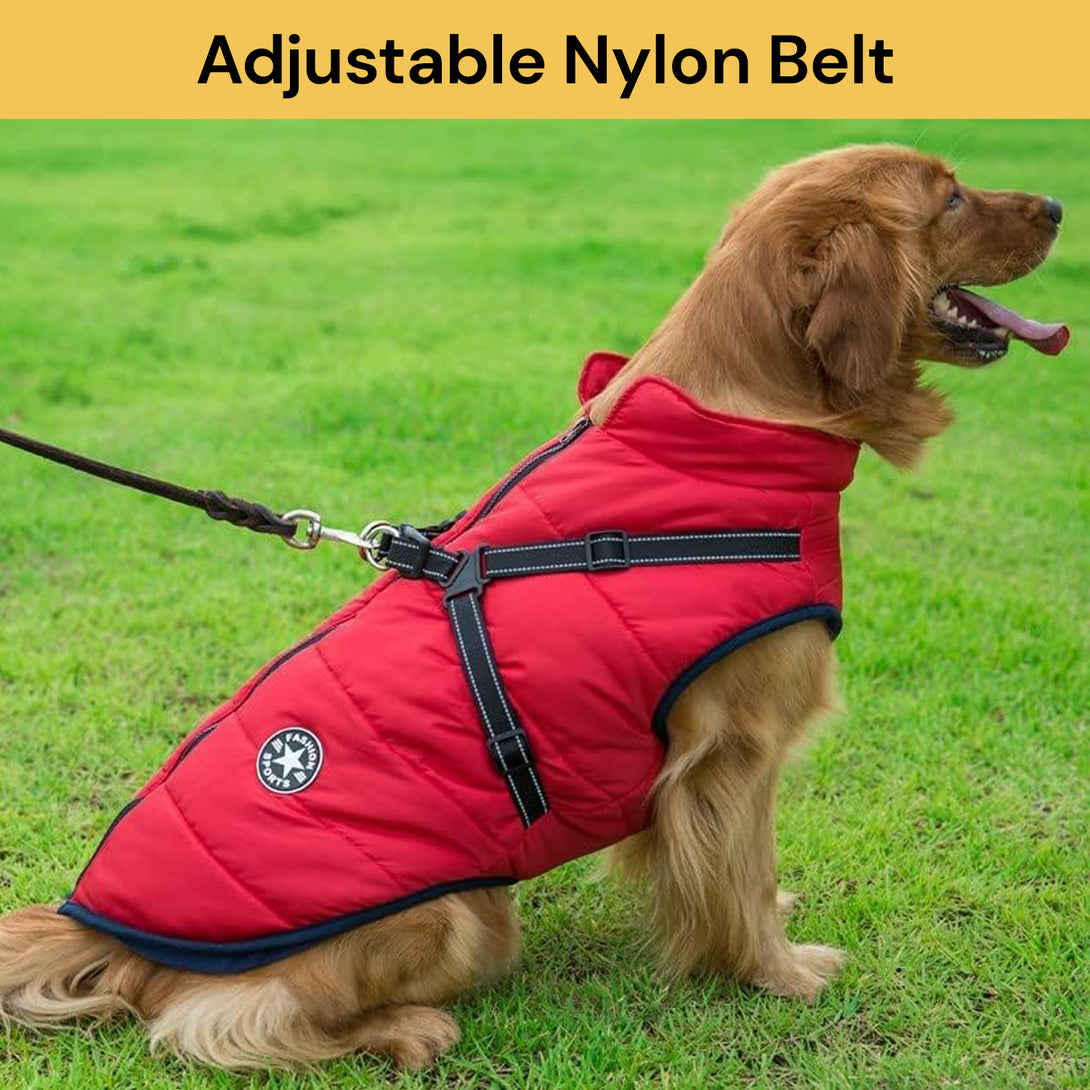 Dog Winter Jacket With Harness