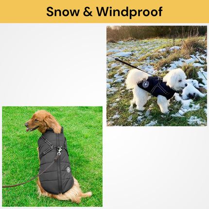 Dog Winter Jacket With Harness