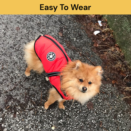 Dog Winter Jacket With Harness