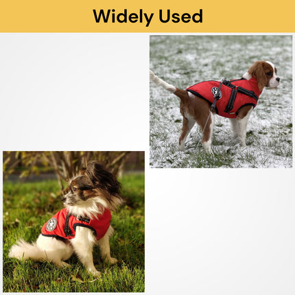 Dog Winter Jacket With Harness