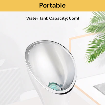 Nano Ionic Facial Steamer