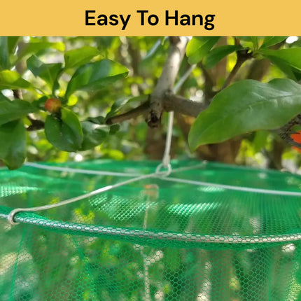 Fly Trap Net