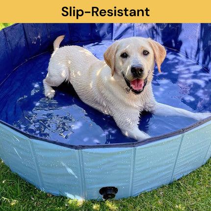 Folding Pet Swimming Pool