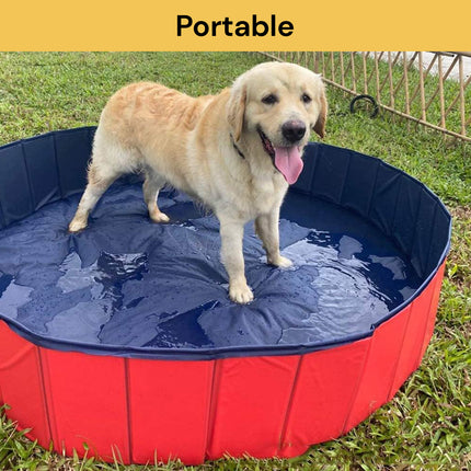 Folding Pet Swimming Pool