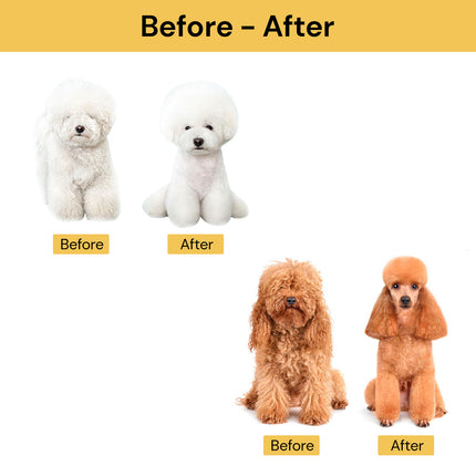 Professional Pet Grooming Clipper