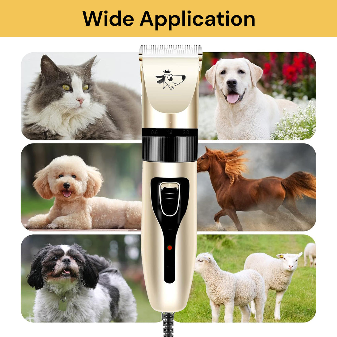 Beautiful view of Favorite Quiet Dog Grooming Clippers For Anxious Owners