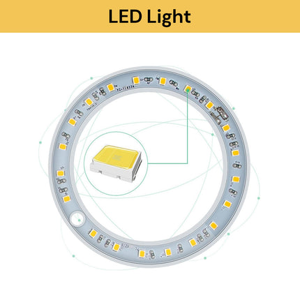 LED Grow Light