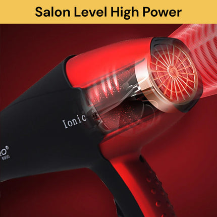 Professional Ionic Hair Dryer