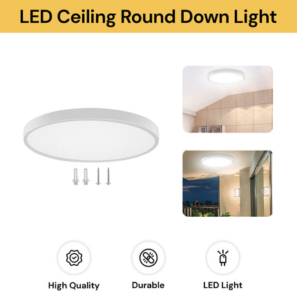 LED Ceiling Round Down Light