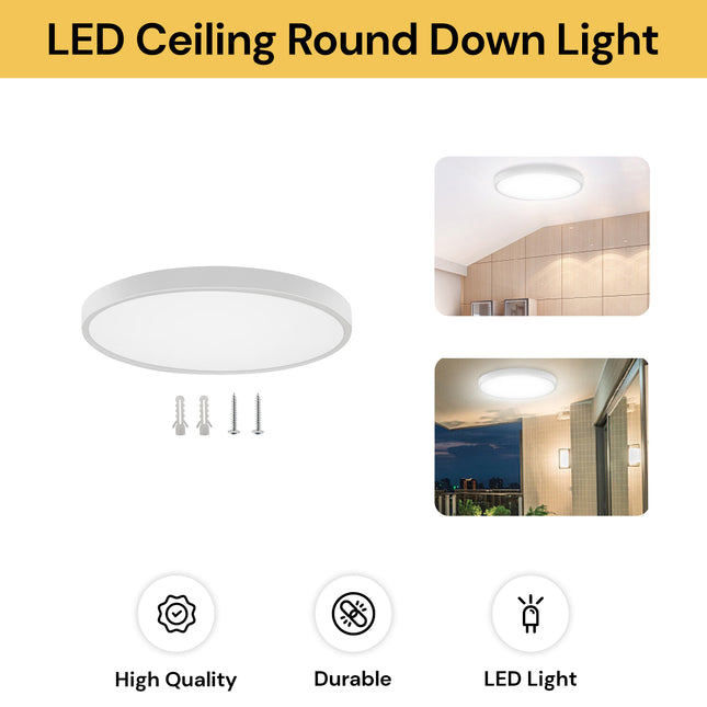 LED Ceiling Round Down Light