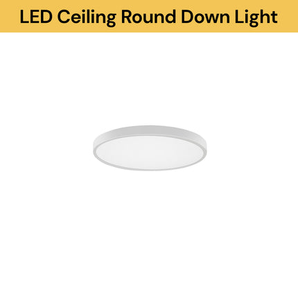 LED Ceiling Round Down Light