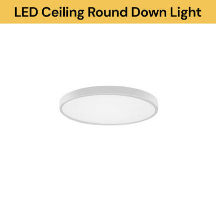 LED Ceiling Round Down Light