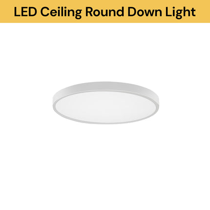 LED Ceiling Round Down Light