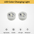 LED Lights