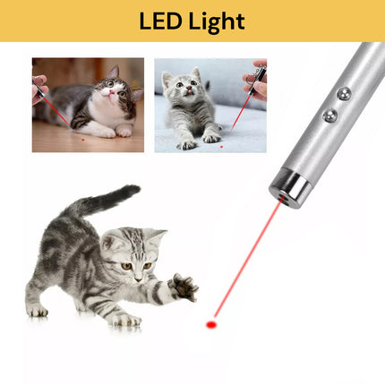 Buy Pet Collar Get Pet Laser Pointer Mini Keychain Free